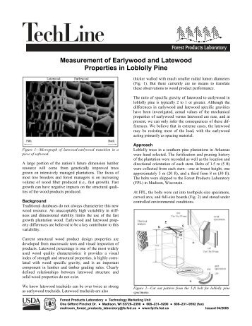 Measurement of earlywood and latewood properties of loblolly pine