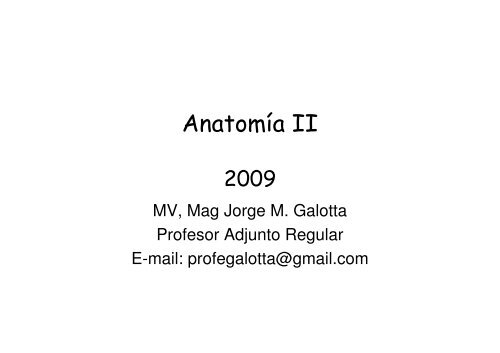 Anatomía II