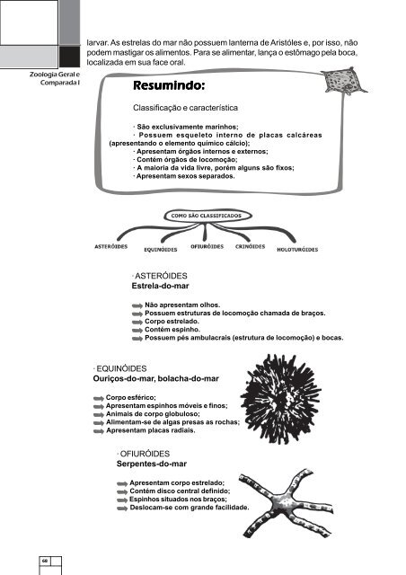 Questão 1 - ftc ead