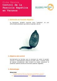 fasciola hepatica.pdf - Soluciones Prácticas