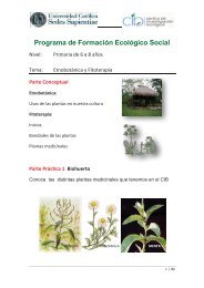 Etnobotanica temario primaria de 6 a 8 años.pdf