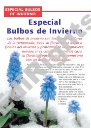 Especial Bulbos de Invierno - EdiRights