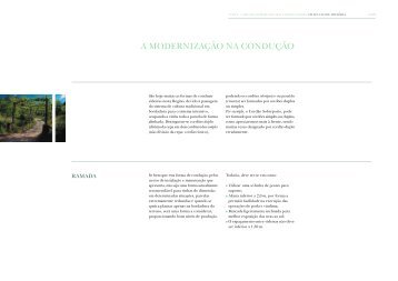 a modernização na condução - Comissão de Viticultura da Região ...