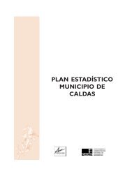 PLAN ESTADÍSTICO MUNICIPIO DE CALDAS - Dane