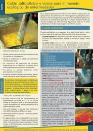 Caldo sulfocálcico y visosa - ADG