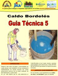 5 Guia en produccion Caldo Bordeles.pdf - centa