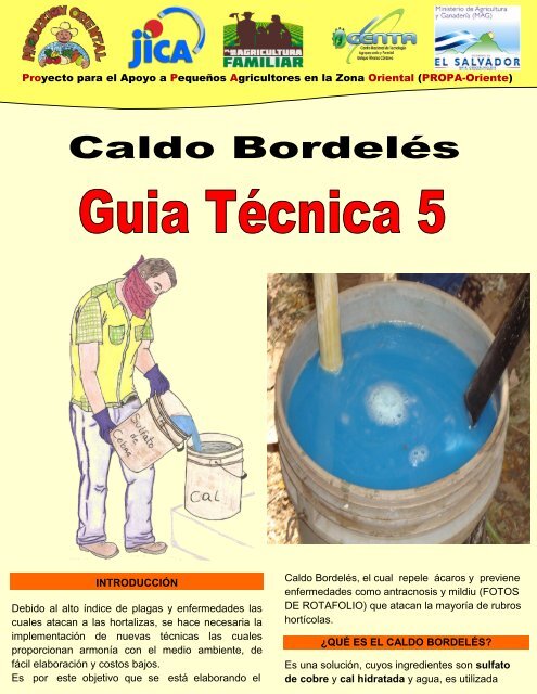 5 Guia en produccion Caldo Bordeles.pdf - centa