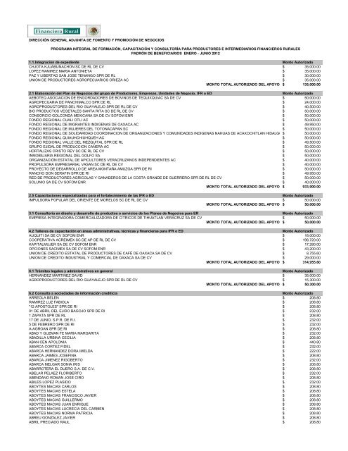 DIRECCIÓN GENERAL ADJUNTA DE FOMENTO ... - Financiera Rural