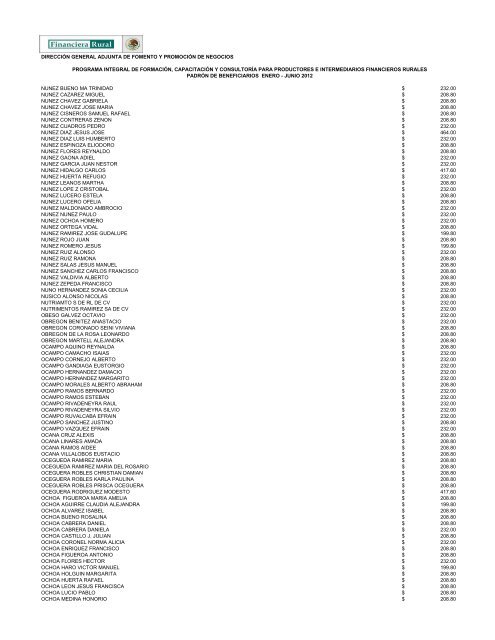 DIRECCIÓN GENERAL ADJUNTA DE FOMENTO ... - Financiera Rural