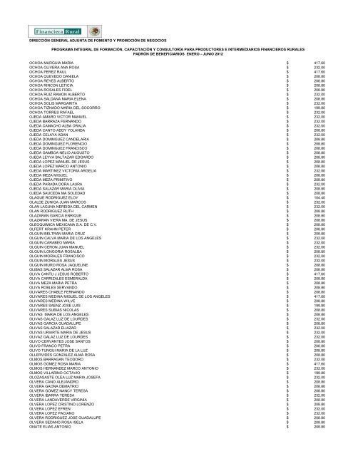 DIRECCIÓN GENERAL ADJUNTA DE FOMENTO ... - Financiera Rural