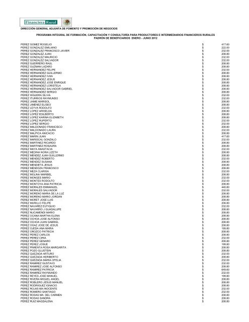 DIRECCIÓN GENERAL ADJUNTA DE FOMENTO ... - Financiera Rural