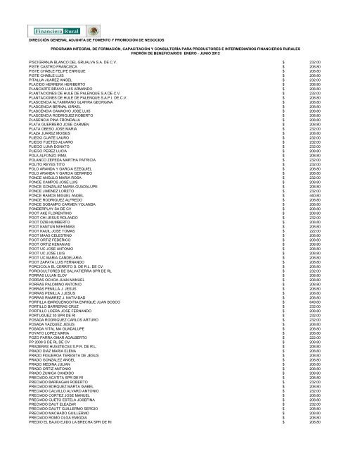 DIRECCIÓN GENERAL ADJUNTA DE FOMENTO ... - Financiera Rural