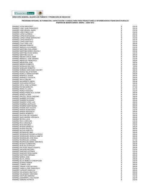 DIRECCIÓN GENERAL ADJUNTA DE FOMENTO ... - Financiera Rural