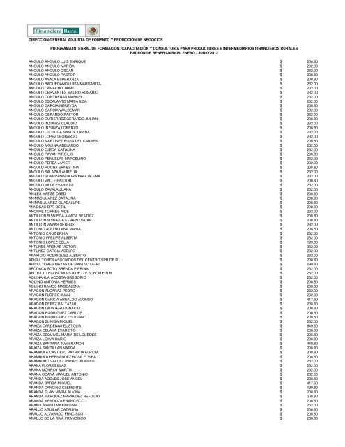 DIRECCIÓN GENERAL ADJUNTA DE FOMENTO ... - Financiera Rural