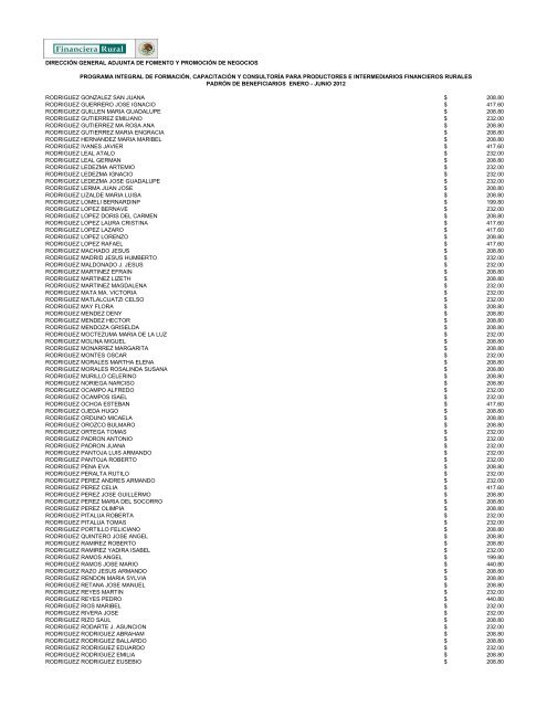 DIRECCIÓN GENERAL ADJUNTA DE FOMENTO ... - Financiera Rural