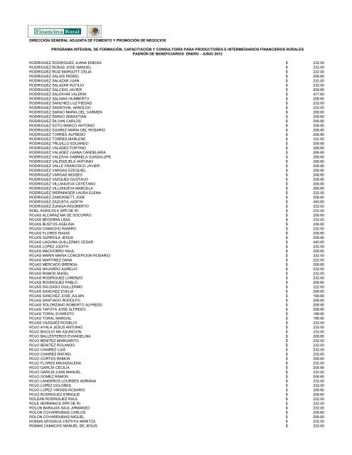 DIRECCIÓN GENERAL ADJUNTA DE FOMENTO ... - Financiera Rural