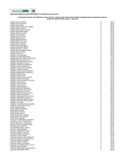 DIRECCIÓN GENERAL ADJUNTA DE FOMENTO ... - Financiera Rural