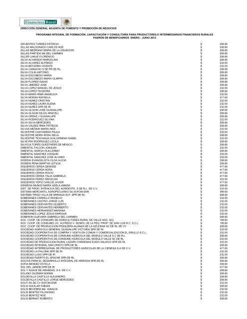 DIRECCIÓN GENERAL ADJUNTA DE FOMENTO ... - Financiera Rural