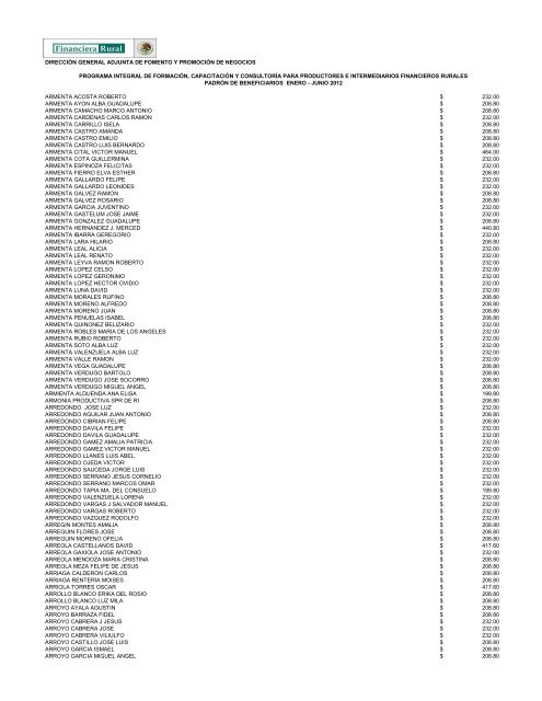 DIRECCIÓN GENERAL ADJUNTA DE FOMENTO ... - Financiera Rural