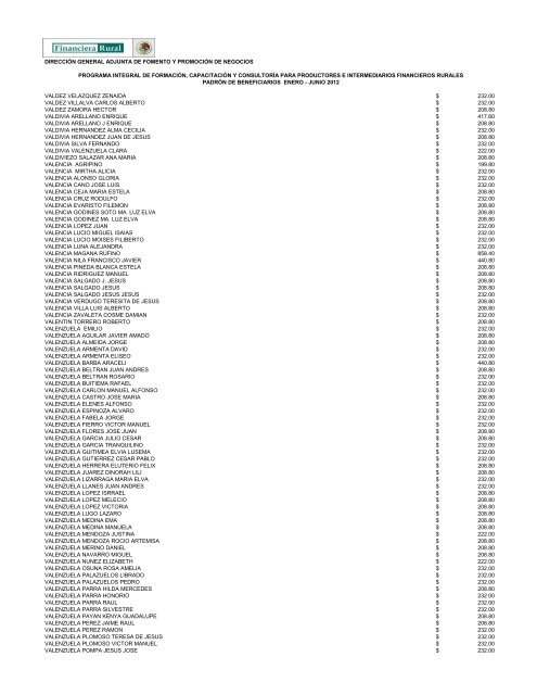 DIRECCIÓN GENERAL ADJUNTA DE FOMENTO ... - Financiera Rural