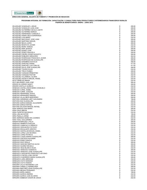 DIRECCIÓN GENERAL ADJUNTA DE FOMENTO ... - Financiera Rural