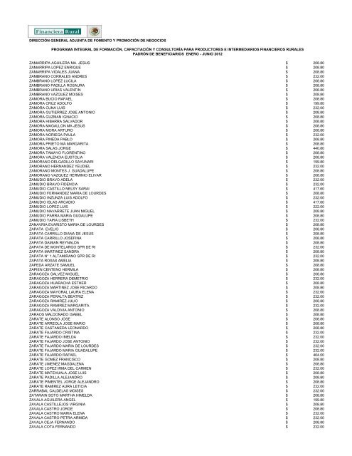 DIRECCIÓN GENERAL ADJUNTA DE FOMENTO ... - Financiera Rural