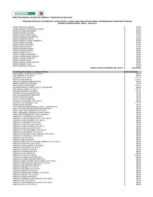 DIRECCIÓN GENERAL ADJUNTA DE FOMENTO ... - Financiera Rural