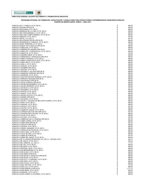 DIRECCIÓN GENERAL ADJUNTA DE FOMENTO ... - Financiera Rural