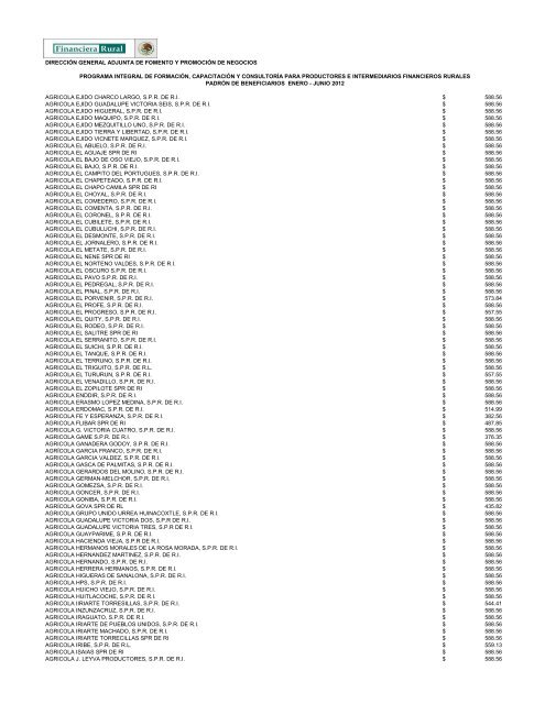 DIRECCIÓN GENERAL ADJUNTA DE FOMENTO ... - Financiera Rural