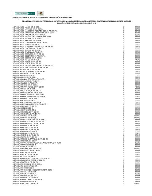 DIRECCIÓN GENERAL ADJUNTA DE FOMENTO ... - Financiera Rural