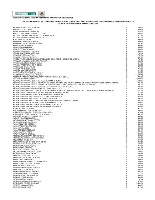 DIRECCIÓN GENERAL ADJUNTA DE FOMENTO ... - Financiera Rural