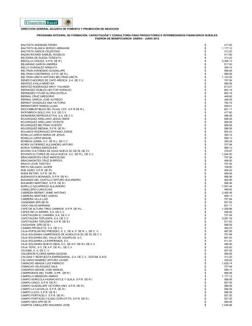 DIRECCIÓN GENERAL ADJUNTA DE FOMENTO ... - Financiera Rural