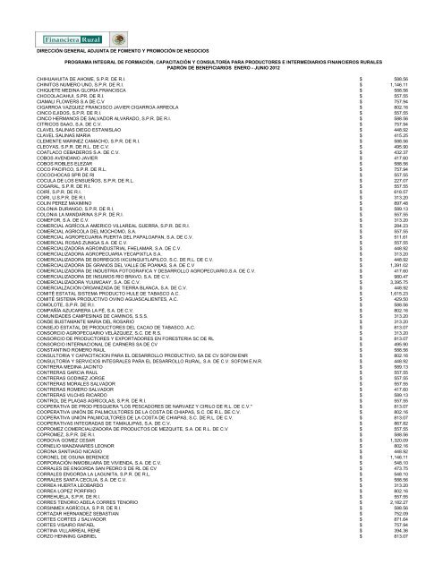 DIRECCIÓN GENERAL ADJUNTA DE FOMENTO ... - Financiera Rural