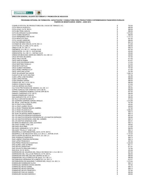 DIRECCIÓN GENERAL ADJUNTA DE FOMENTO ... - Financiera Rural