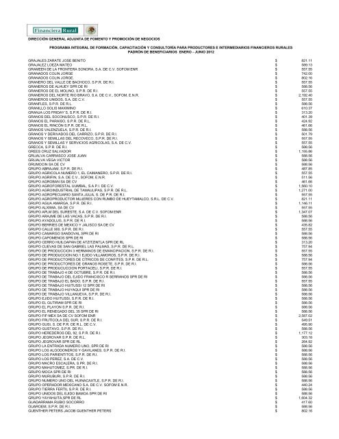 DIRECCIÓN GENERAL ADJUNTA DE FOMENTO ... - Financiera Rural