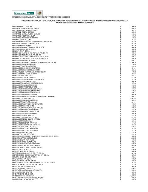 DIRECCIÓN GENERAL ADJUNTA DE FOMENTO ... - Financiera Rural