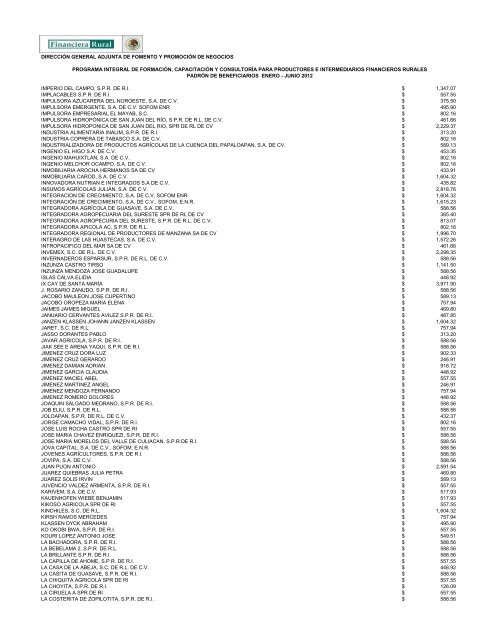 DIRECCIÓN GENERAL ADJUNTA DE FOMENTO ... - Financiera Rural