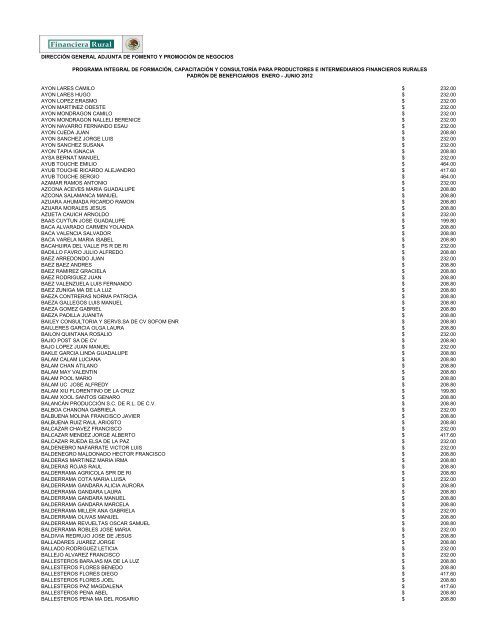 DIRECCIÓN GENERAL ADJUNTA DE FOMENTO ... - Financiera Rural