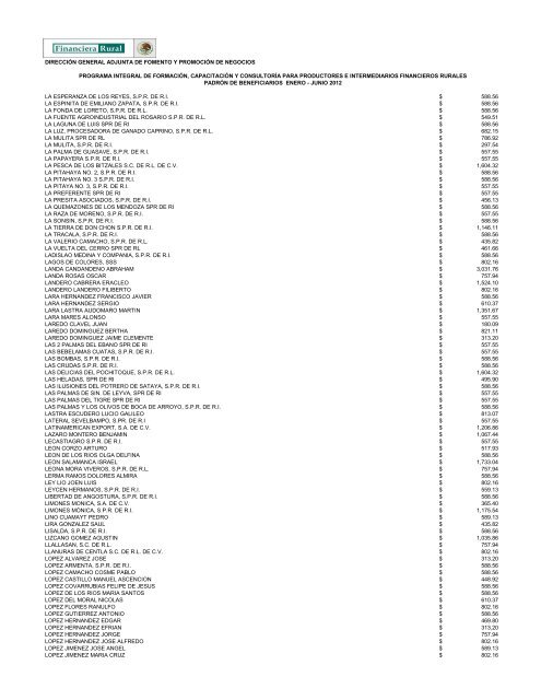 DIRECCIÓN GENERAL ADJUNTA DE FOMENTO ... - Financiera Rural