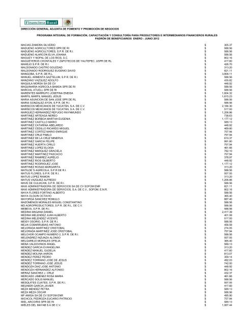 DIRECCIÓN GENERAL ADJUNTA DE FOMENTO ... - Financiera Rural