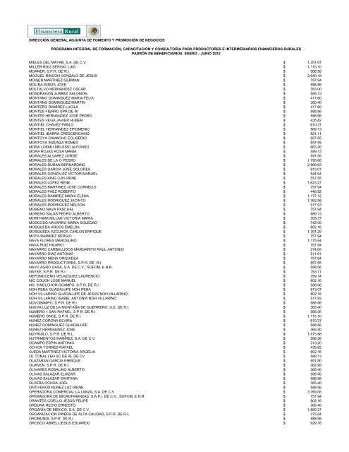 DIRECCIÓN GENERAL ADJUNTA DE FOMENTO ... - Financiera Rural