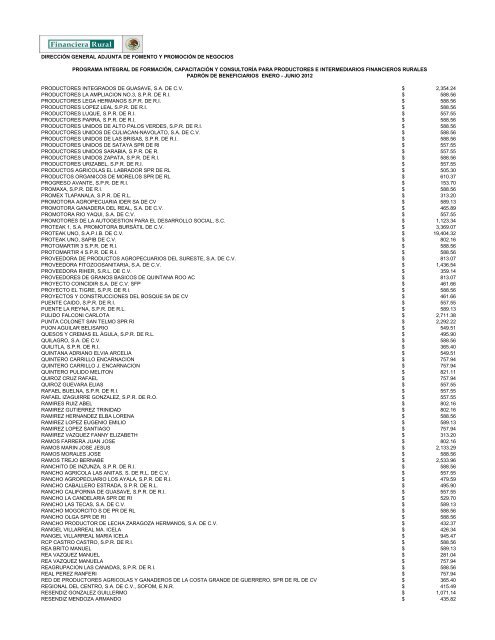 DIRECCIÓN GENERAL ADJUNTA DE FOMENTO ... - Financiera Rural