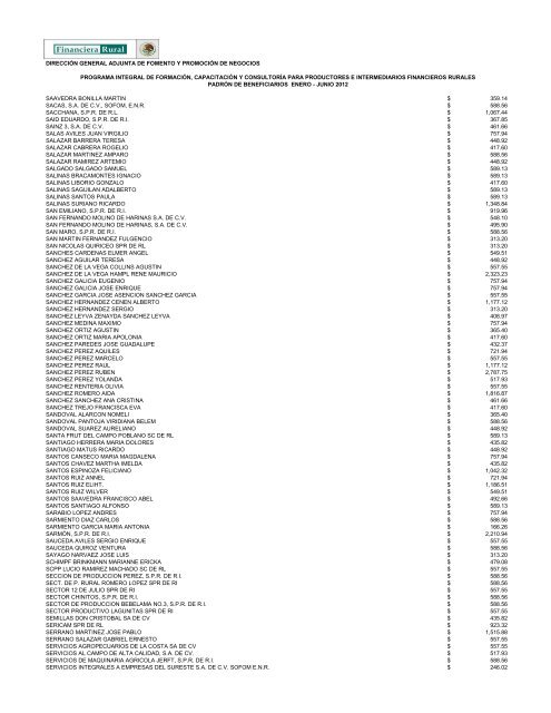 DIRECCIÓN GENERAL ADJUNTA DE FOMENTO ... - Financiera Rural