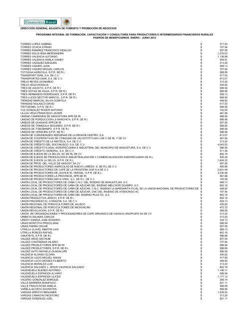 DIRECCIÓN GENERAL ADJUNTA DE FOMENTO ... - Financiera Rural