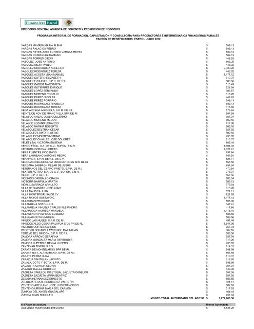 DIRECCIÓN GENERAL ADJUNTA DE FOMENTO ... - Financiera Rural