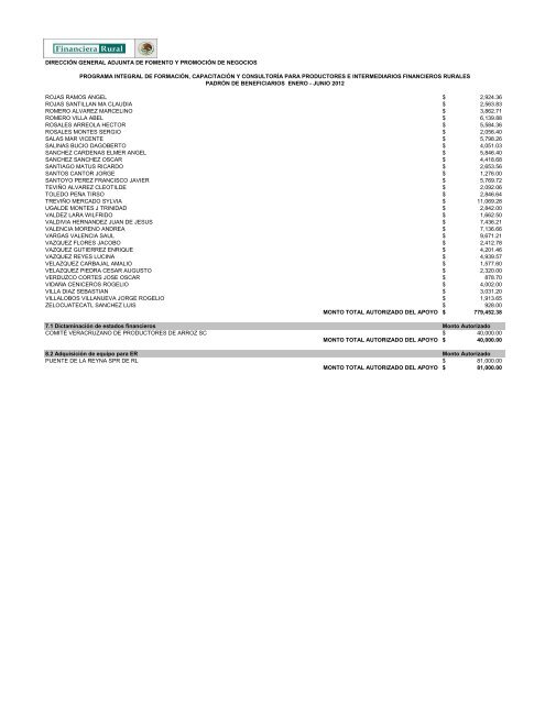 DIRECCIÓN GENERAL ADJUNTA DE FOMENTO ... - Financiera Rural