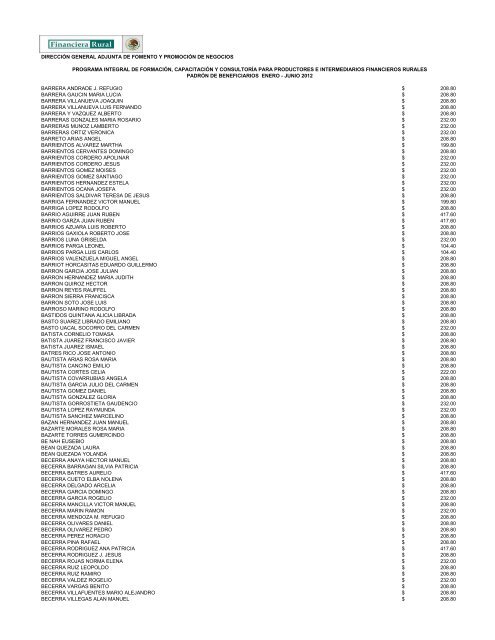 DIRECCIÓN GENERAL ADJUNTA DE FOMENTO ... - Financiera Rural