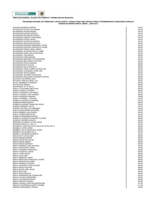 DIRECCIÓN GENERAL ADJUNTA DE FOMENTO ... - Financiera Rural