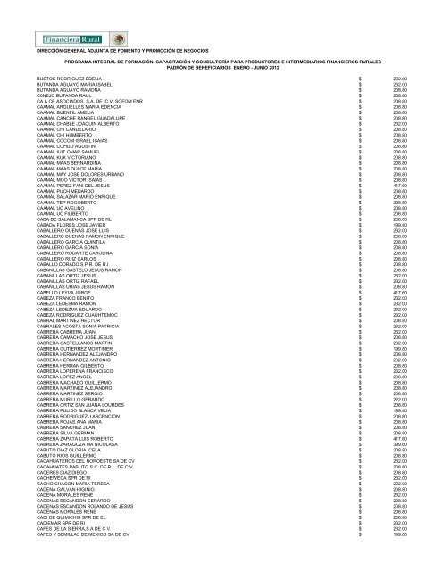 DIRECCIÓN GENERAL ADJUNTA DE FOMENTO ... - Financiera Rural