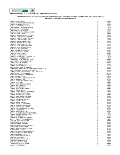 DIRECCIÓN GENERAL ADJUNTA DE FOMENTO ... - Financiera Rural